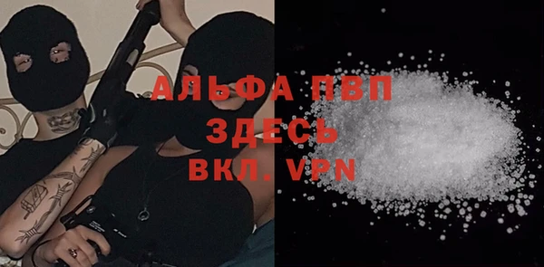 стаф Алексин