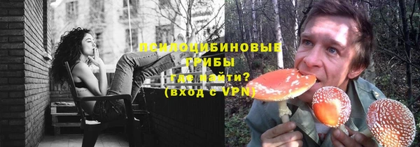 стаф Алексин