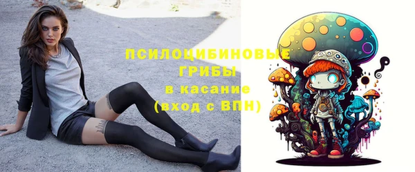 скорость Алзамай