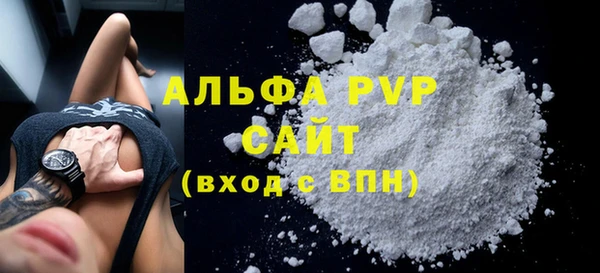 стаф Алексин