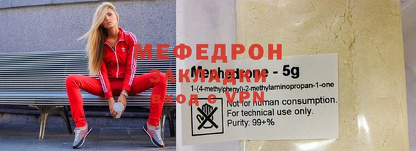 стаф Алексин