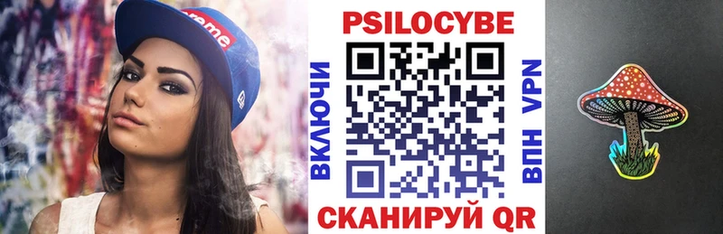 ссылка на мегу ONION  Фролово  Псилоцибиновые грибы Psilocybine cubensis  купить  