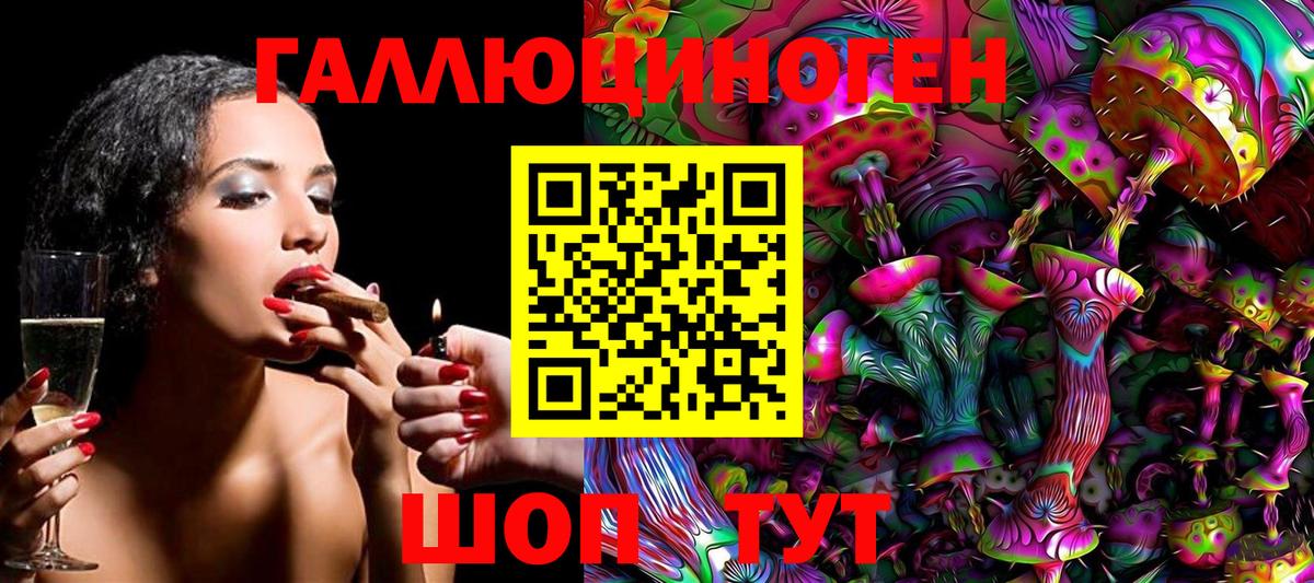 Галлюциногенные грибы Psilocybe Фролово