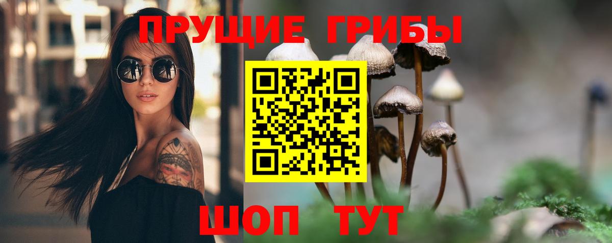 Галлюциногенные грибы Cubensis  Вход с VPN  Фролово 